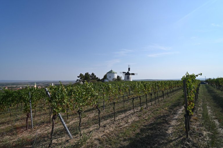 DSC_0616.jpg