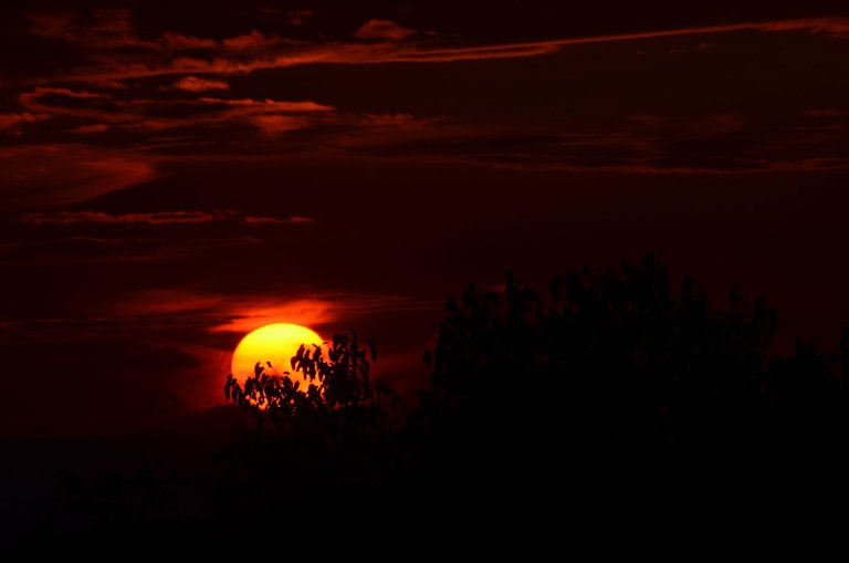 DSC_0029.JPG