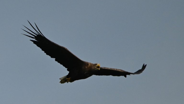 Z62_1369.jpg
