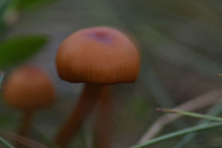 DSC_6259.jpg