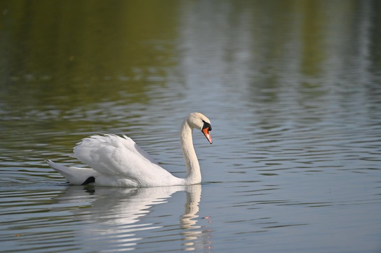 Z62_2300.jpg