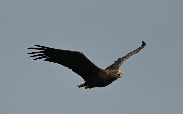 Z62_1360.jpg