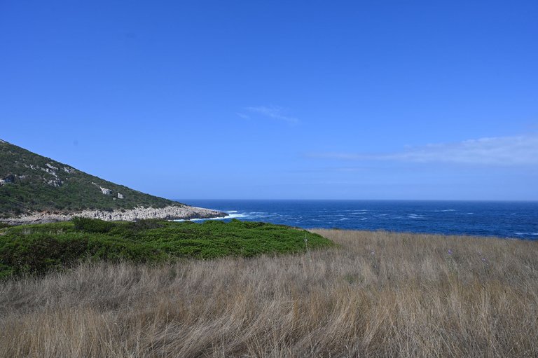 Z62_7212.jpg