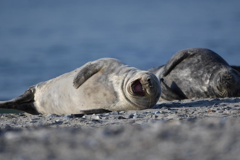 DSC_3354.jpg