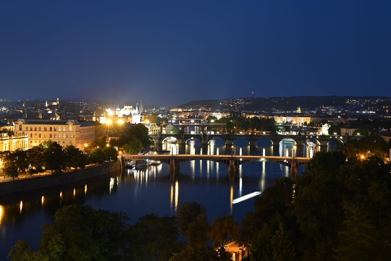 Z62_7565.JPG
