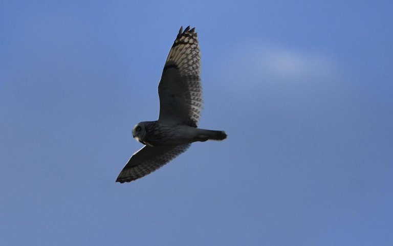 DSC_0834.jpg