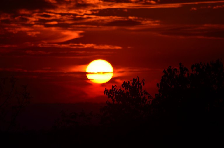 DSC_0006.JPG