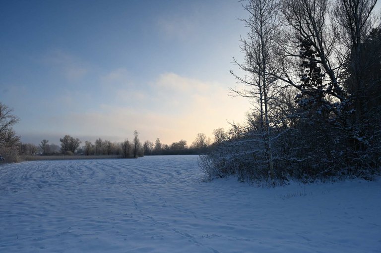 Z62_2011.jpg
