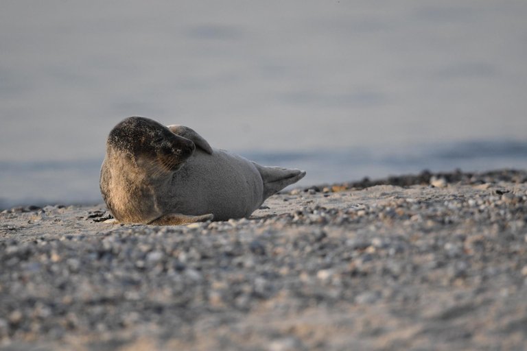DSC_3704.jpg
