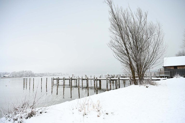 Z62_2042.JPG