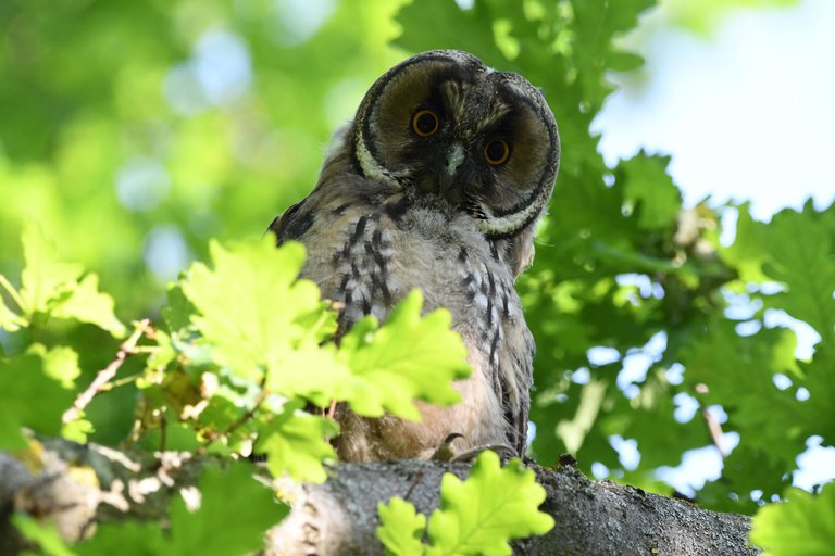 DSC_8869.jpg