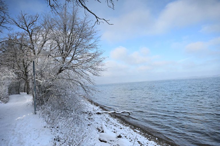 Z62_2072.jpg