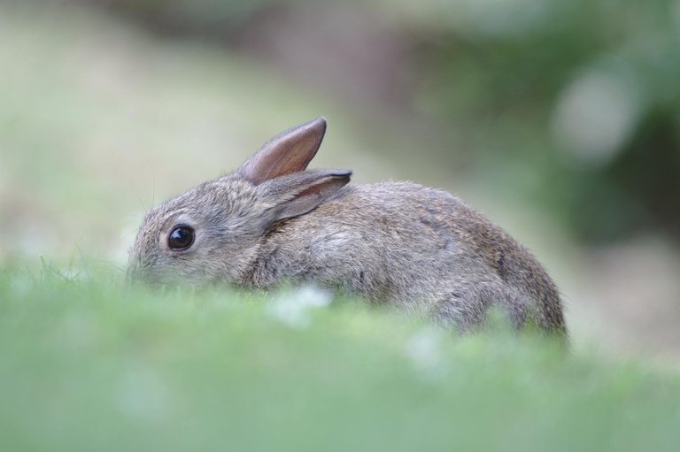 DSC_2734.jpg