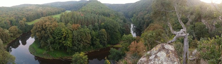 IMG_20200913_190112599.jpg