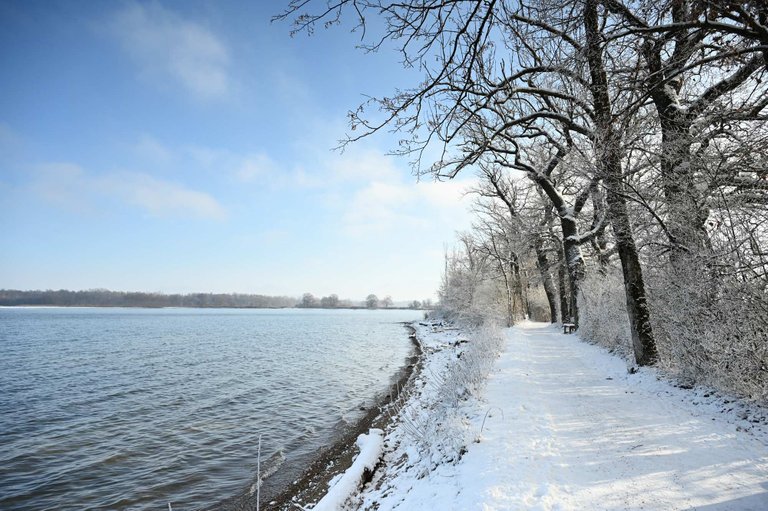 Z62_2078.jpg