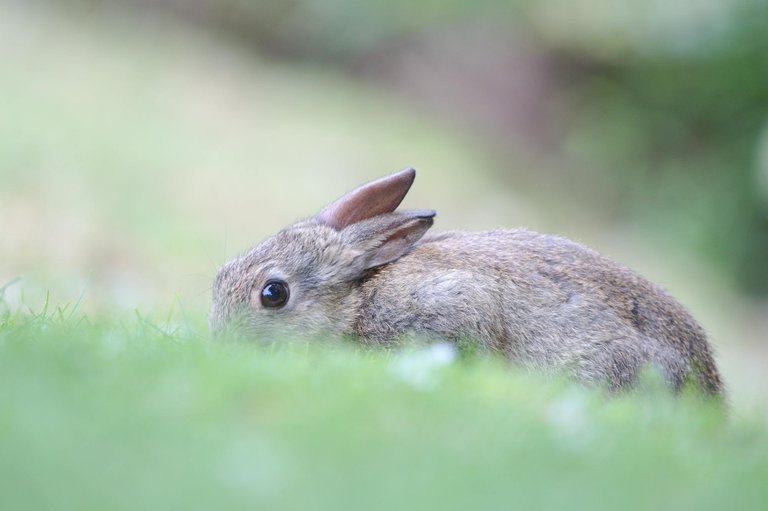 DSC_2732.jpg