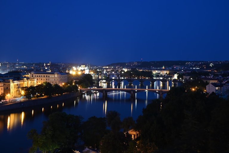 Z62_7551.JPG