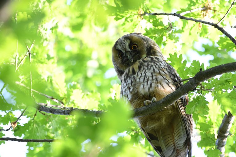 DSC_8884.jpg