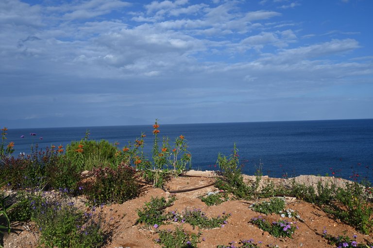 Z62_7504.jpg