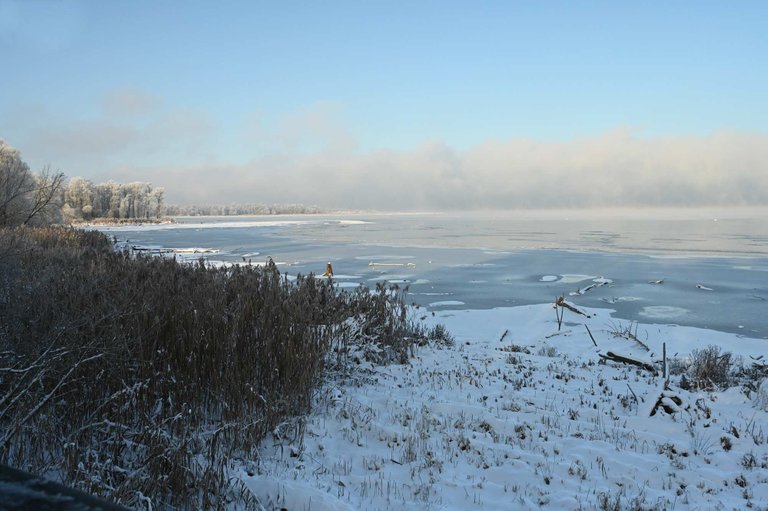 Z62_2032.jpg