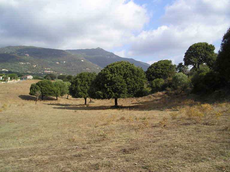 Korsika200795.jpg