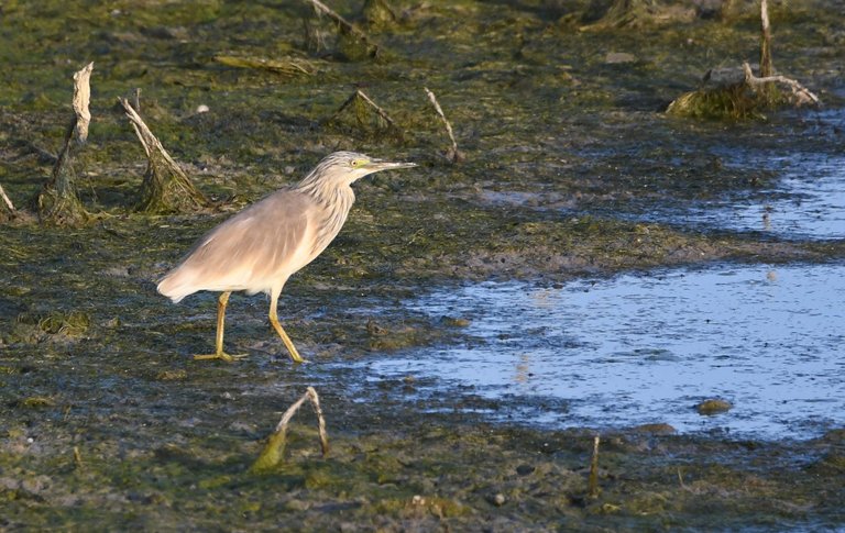 DSC_1112.jpg