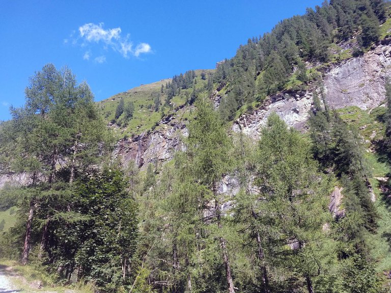 IMG_20220804_105253120.jpg