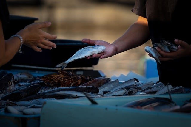 fish-market-7519944_640.jpg