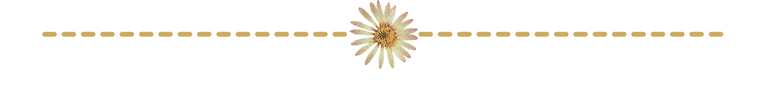 Hive diseño.png