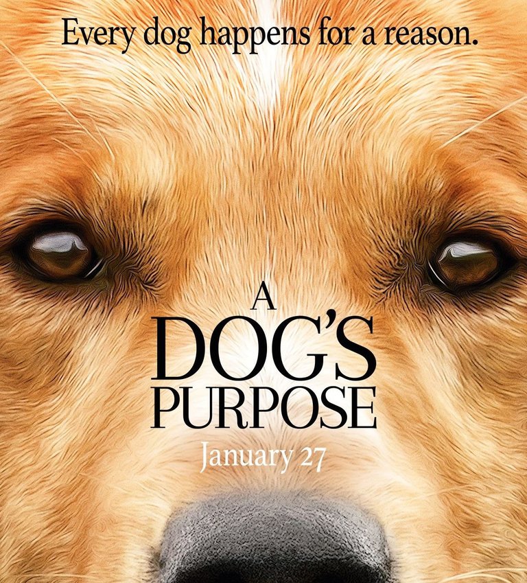 a-dogs-purpose-peque.jpg