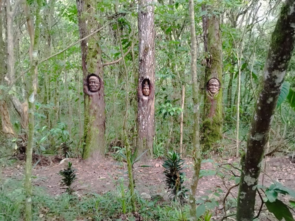 imagen.png