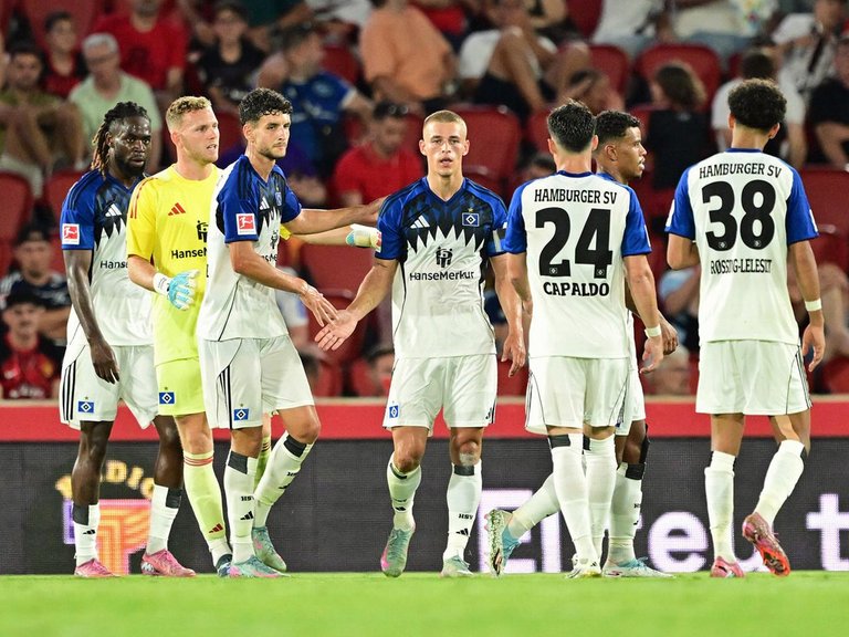 HSV.jpg