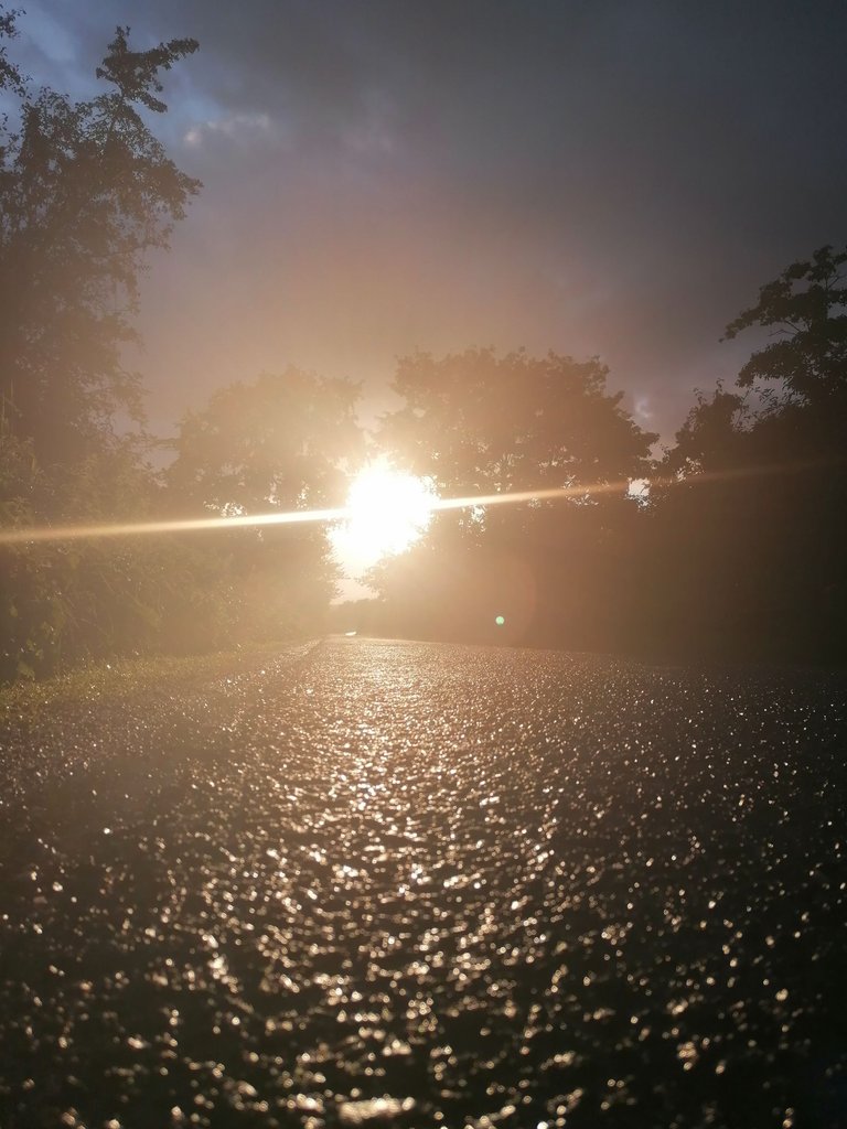 sunrise.jpg