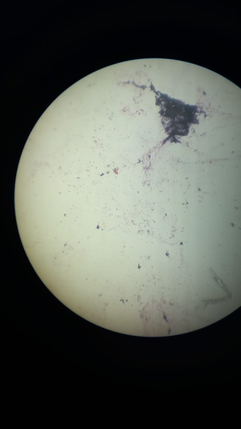 WhatsApp Image 2022-08-08 at 5.07.55 PM.jpeg