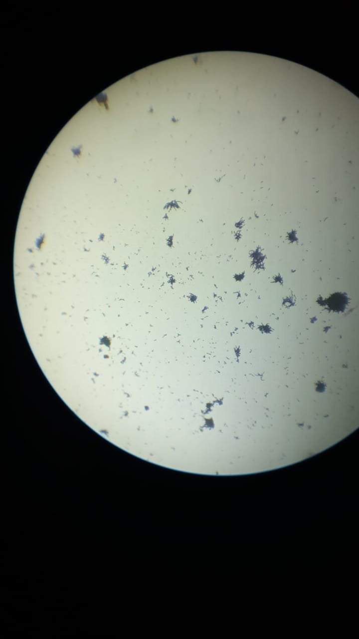 WhatsApp Image 2022-08-08 at 5.07.54 PM.jpeg