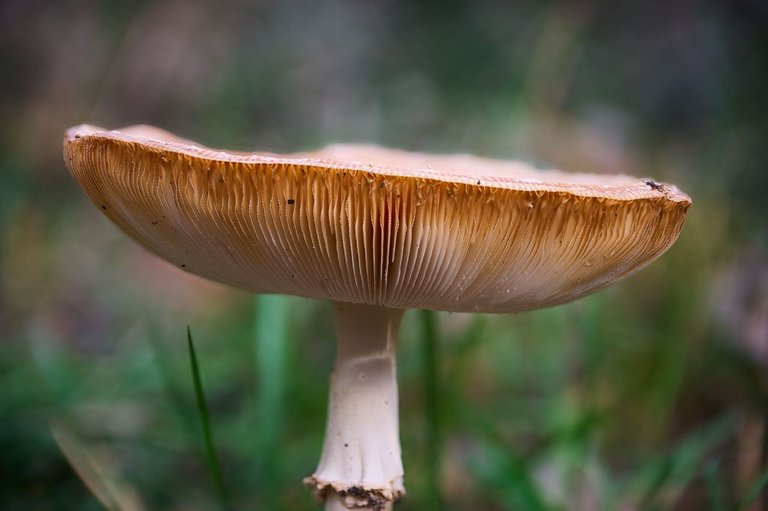 fotofun-RSP_8266.jpg