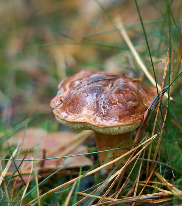 fotofun-RS_P9173.jpg