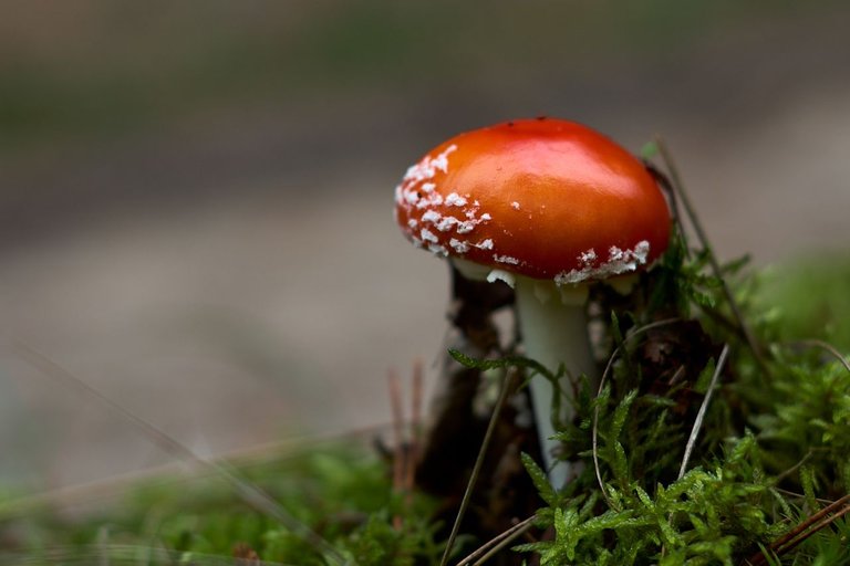 fotofun-RS_P9188.jpg