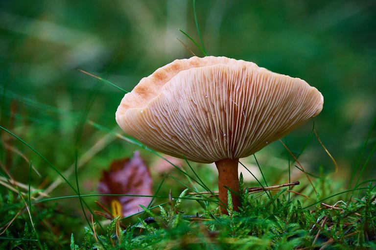 fotofun-RSP_7495.jpg