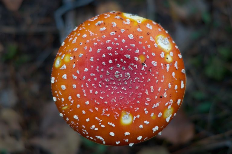 fotofun-RS_P9204.jpg