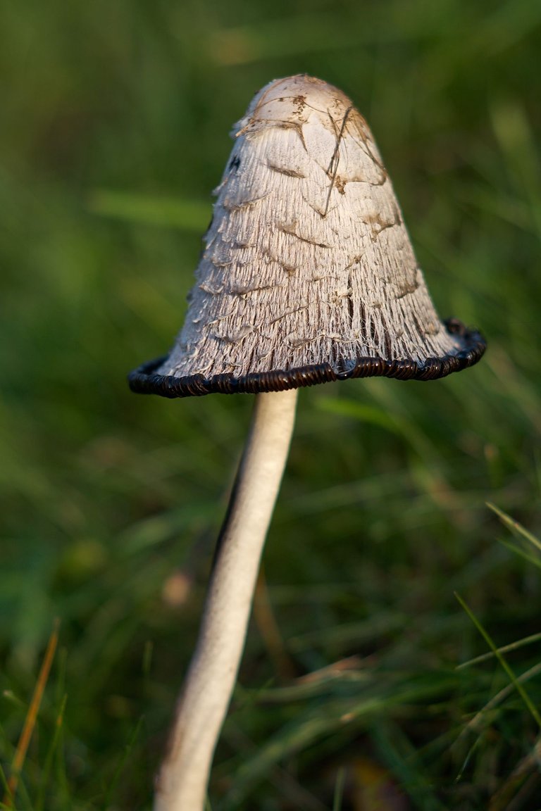 fotofun-RS_P9389x.jpg