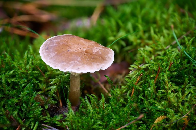 fotofun-RSP_7533.jpg