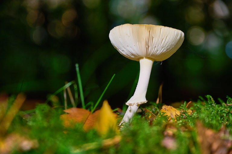 fotofun-RSP_7794.jpg