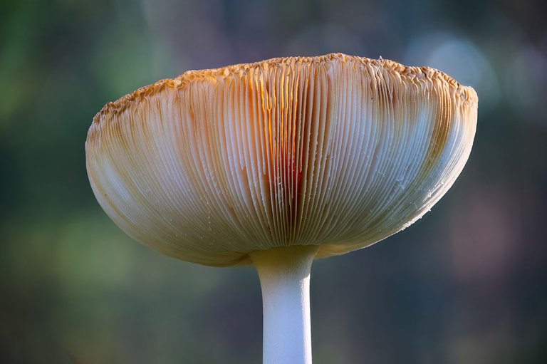 fotofun-RSP_8446_1.jpg