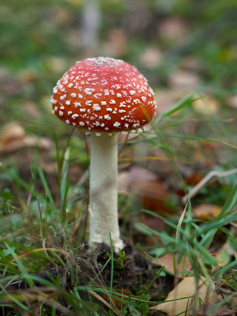 fotofun-RS_P9201.jpg
