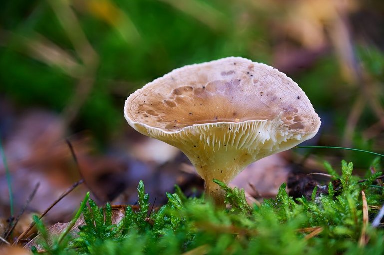 fotofun-RSP_7480.jpg