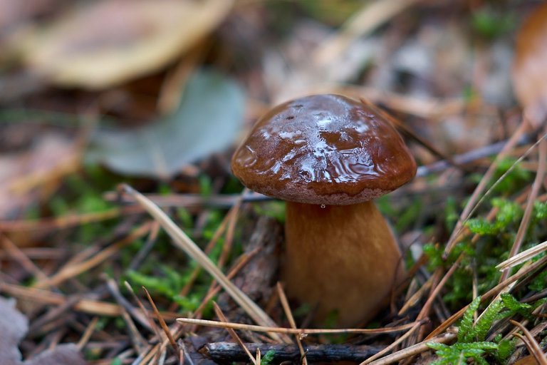 fotofun-RS_P9164.jpg