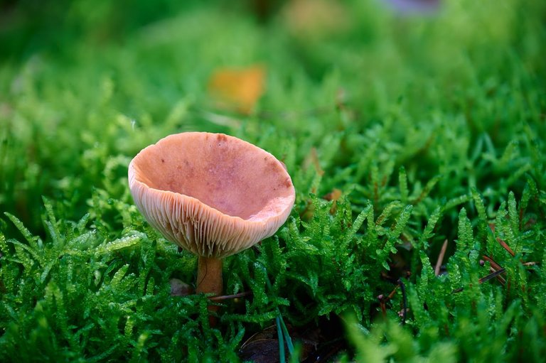 fotofun-RSP_7849.jpg