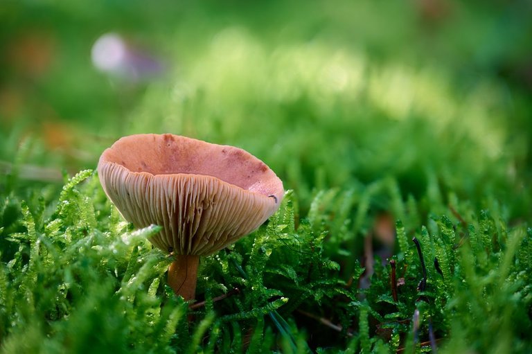 fotofun-RSP_7836.jpg