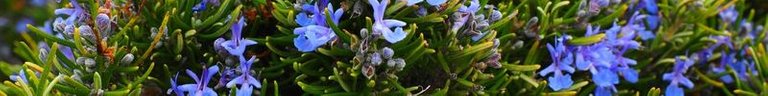 Thank you friends for visiting my blog (19).jpg